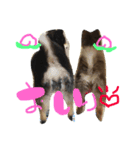 ポコツナ（個別スタンプ：11）