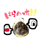 ポコツナ（個別スタンプ：14）