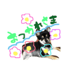 ポコツナ（個別スタンプ：15）