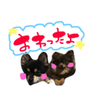 ポコツナ（個別スタンプ：16）