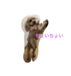 アプリ（個別スタンプ：7）