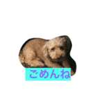 putachan（個別スタンプ：1）