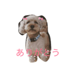 putachan（個別スタンプ：2）