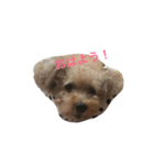putachan（個別スタンプ：5）