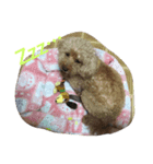 putachan（個別スタンプ：6）