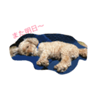 putachan（個別スタンプ：7）