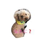 putachan（個別スタンプ：8）