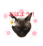 ゼムくん（個別スタンプ：2）