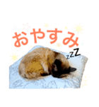 ゼムくん（個別スタンプ：3）