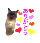 ゼムくん（個別スタンプ：5）