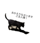 可愛い黒猫のしげみシリーズ1（個別スタンプ：4）