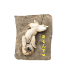 あばれ犬（個別スタンプ：7）
