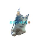 ゴンとキジと野良猫（個別スタンプ：4）