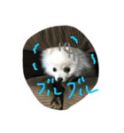 omoti day（個別スタンプ：2）