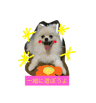 omoti day（個別スタンプ：3）