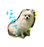 omoti day（個別スタンプ：4）
