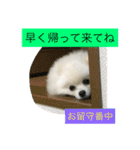 omoti day（個別スタンプ：5）