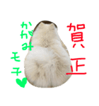 omoti day（個別スタンプ：6）