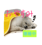 omoti day（個別スタンプ：7）
