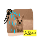 omoti day（個別スタンプ：8）