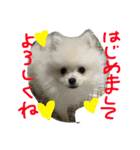 omoti day（個別スタンプ：9）