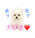 omoti day（個別スタンプ：11）