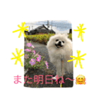 omoti day（個別スタンプ：13）