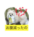 omoti day（個別スタンプ：15）