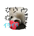 omoti day（個別スタンプ：16）