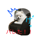 omoti day（個別スタンプ：17）