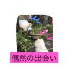 omoti day（個別スタンプ：18）