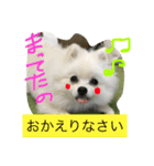 omoti day（個別スタンプ：20）