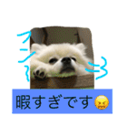 omoti day（個別スタンプ：21）