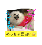 omoti day（個別スタンプ：22）