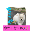 omoti day（個別スタンプ：23）