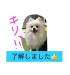 omoti day（個別スタンプ：24）