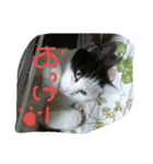 lovely  Sally（個別スタンプ：2）
