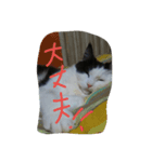 lovely  Sally（個別スタンプ：7）