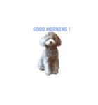 Crever（個別スタンプ：1）
