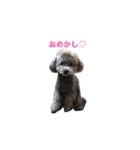 Crever（個別スタンプ：7）