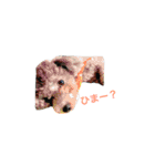 Crever（個別スタンプ：20）