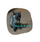 黒豆スタンプ0~1歳（個別スタンプ：2）