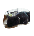 黒豆スタンプ0~1歳（個別スタンプ：14）
