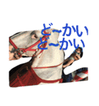 KWMEbrothers3（個別スタンプ：24）