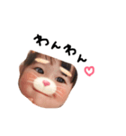 しおりお（個別スタンプ：1）