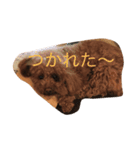 あねち（個別スタンプ：2）