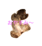 あねち（個別スタンプ：3）