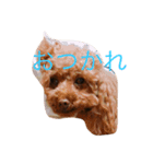 あねち（個別スタンプ：5）
