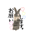 うさぎのろぴ♡♡♡（個別スタンプ：6）