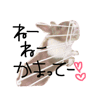 うさぎのろぴ♡♡♡（個別スタンプ：11）